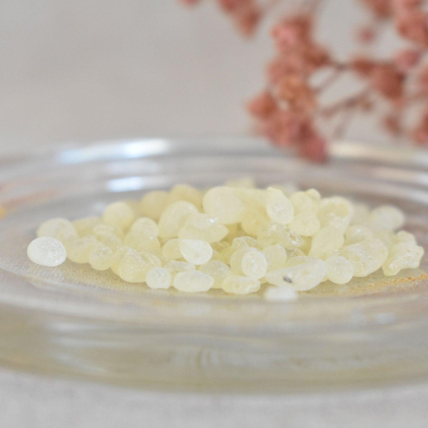 Encens mastic de Chios - Purification fine et élévation