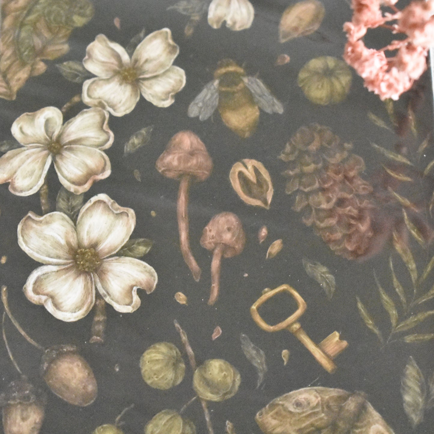 Les cartes postales Jessica Roux