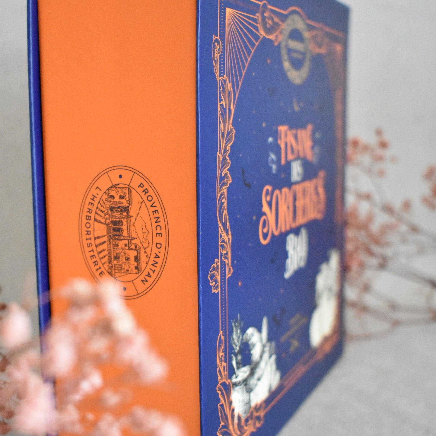 Tisane des Sorcières Bio – Provence d’Antan