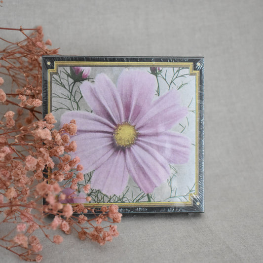 Allumettes Cosmos