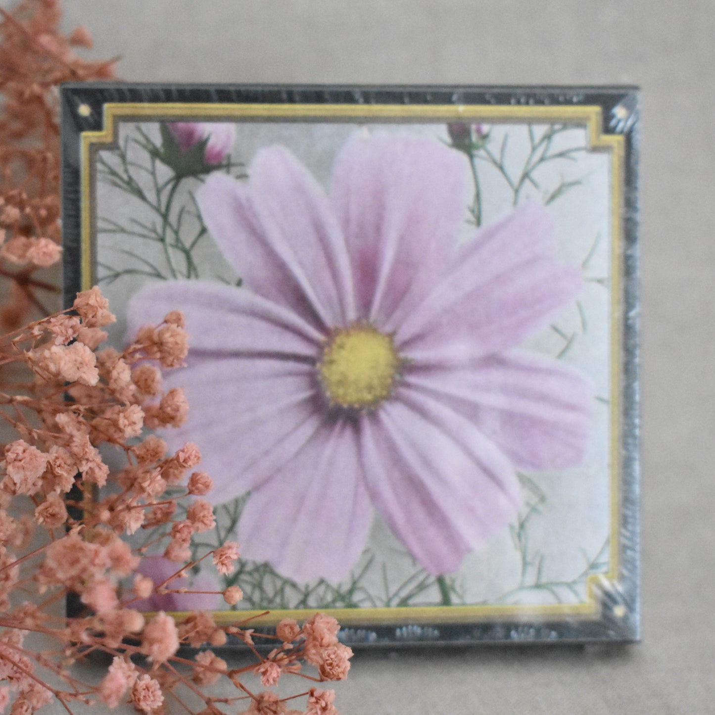 Allumettes Cosmos