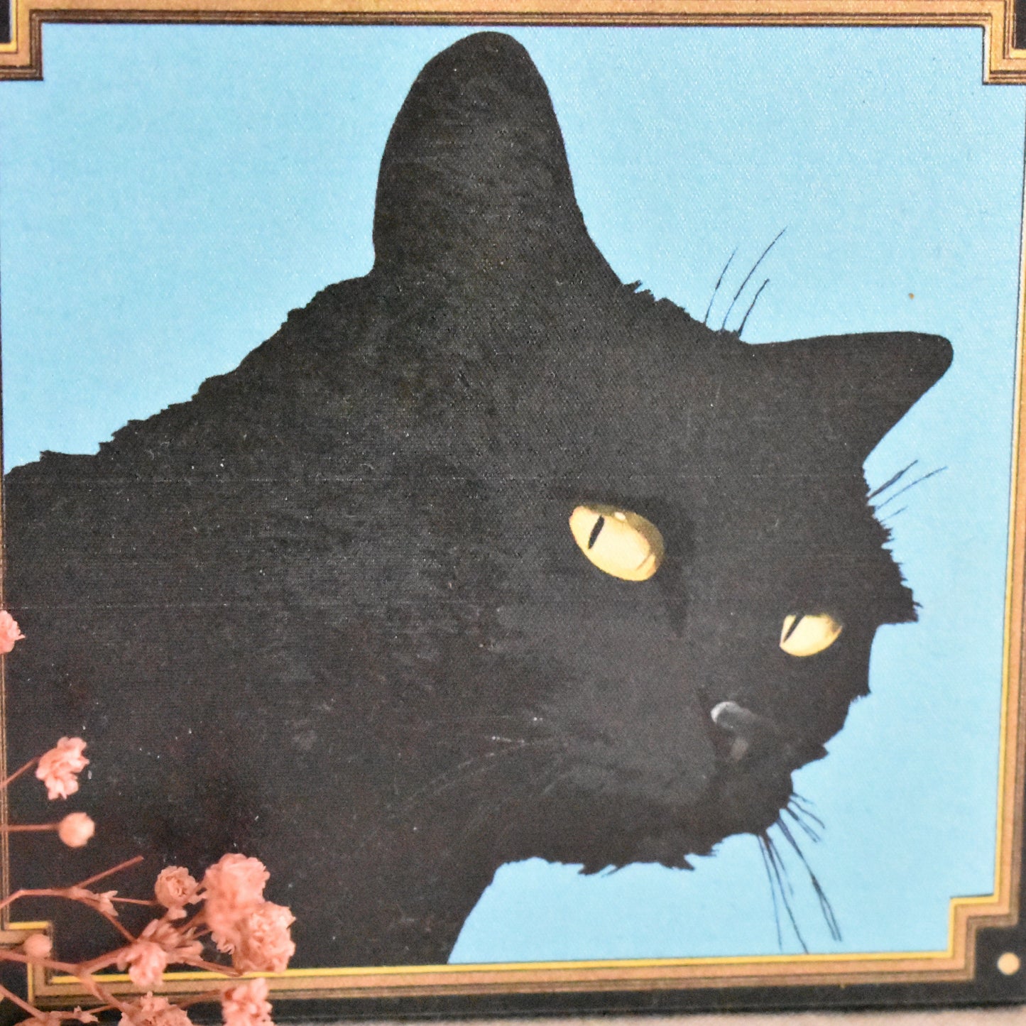 Allumettes Yellow eyes