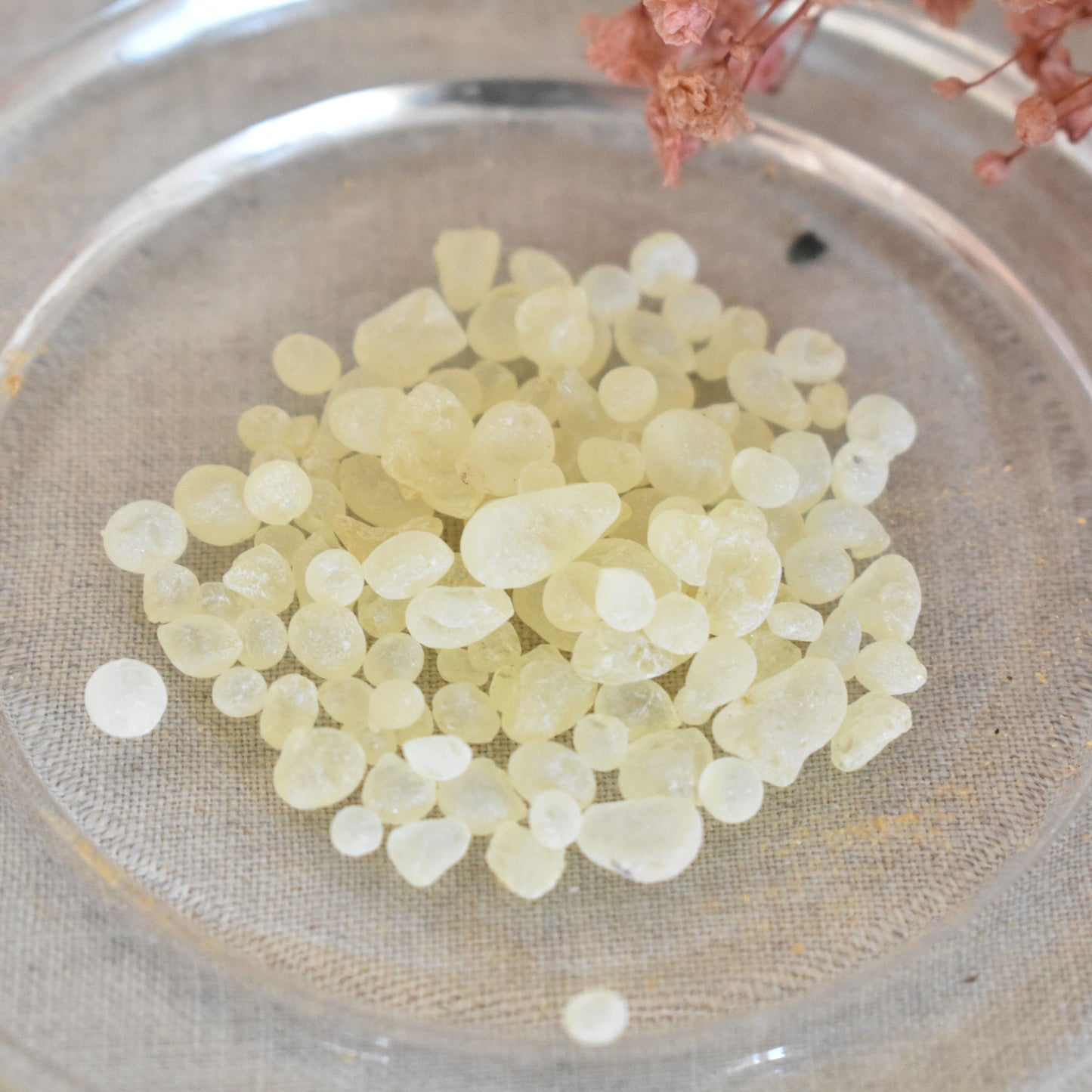 Encens mastic de Chios - Purification fine et élévation