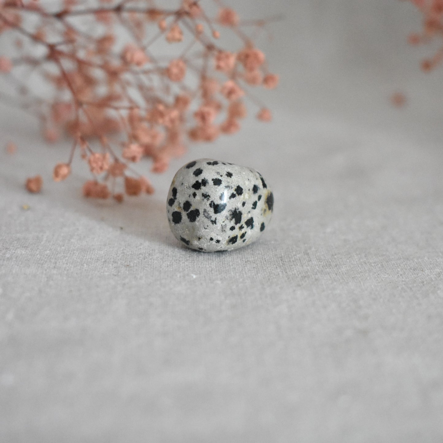 Jaspe dalmatien – légèreté, ancrage et joie simple