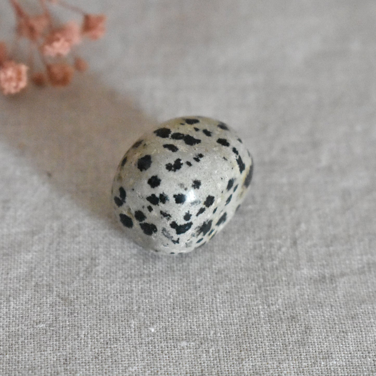 Jaspe dalmatien – légèreté, ancrage et joie simple
