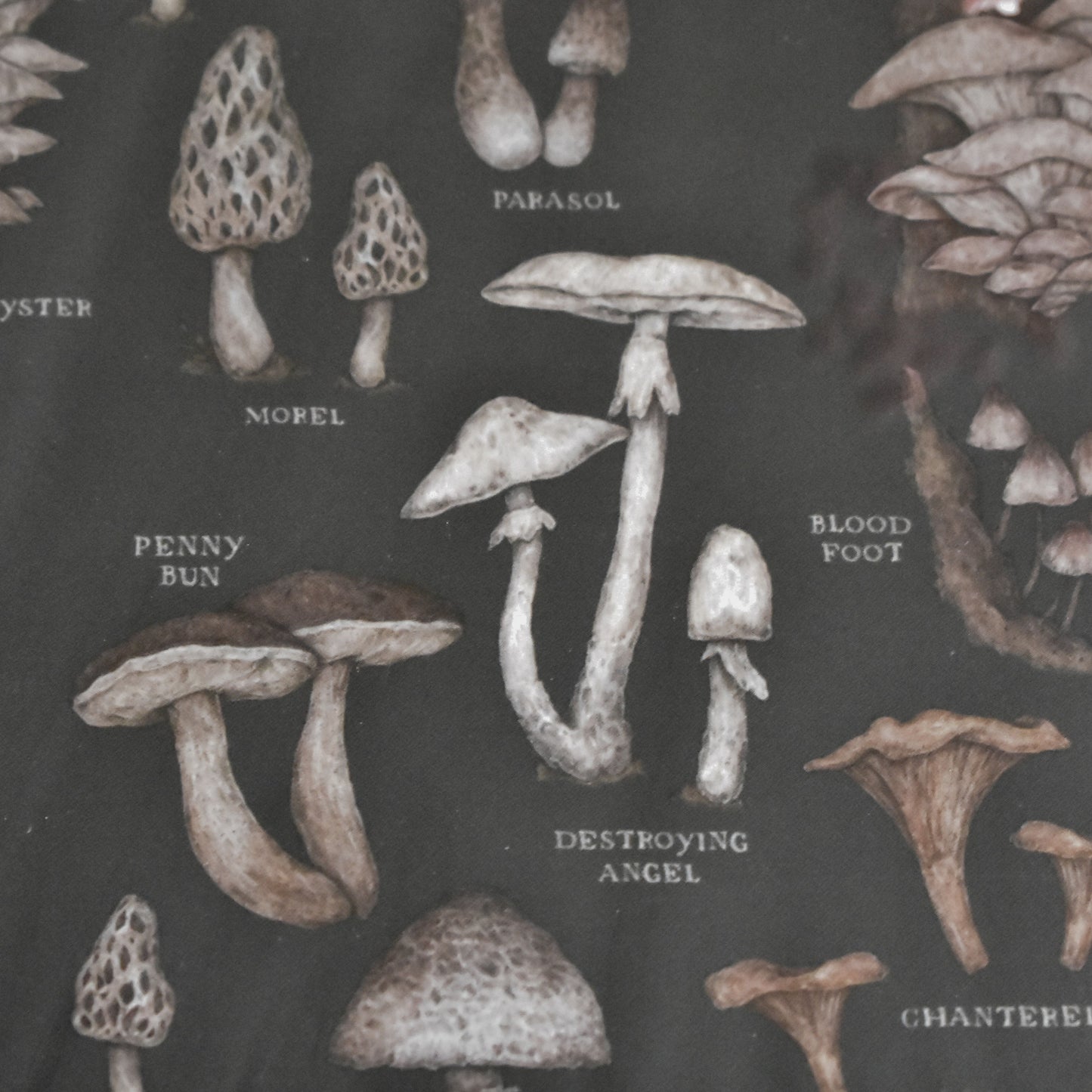 Les cartes postales Jessica Roux