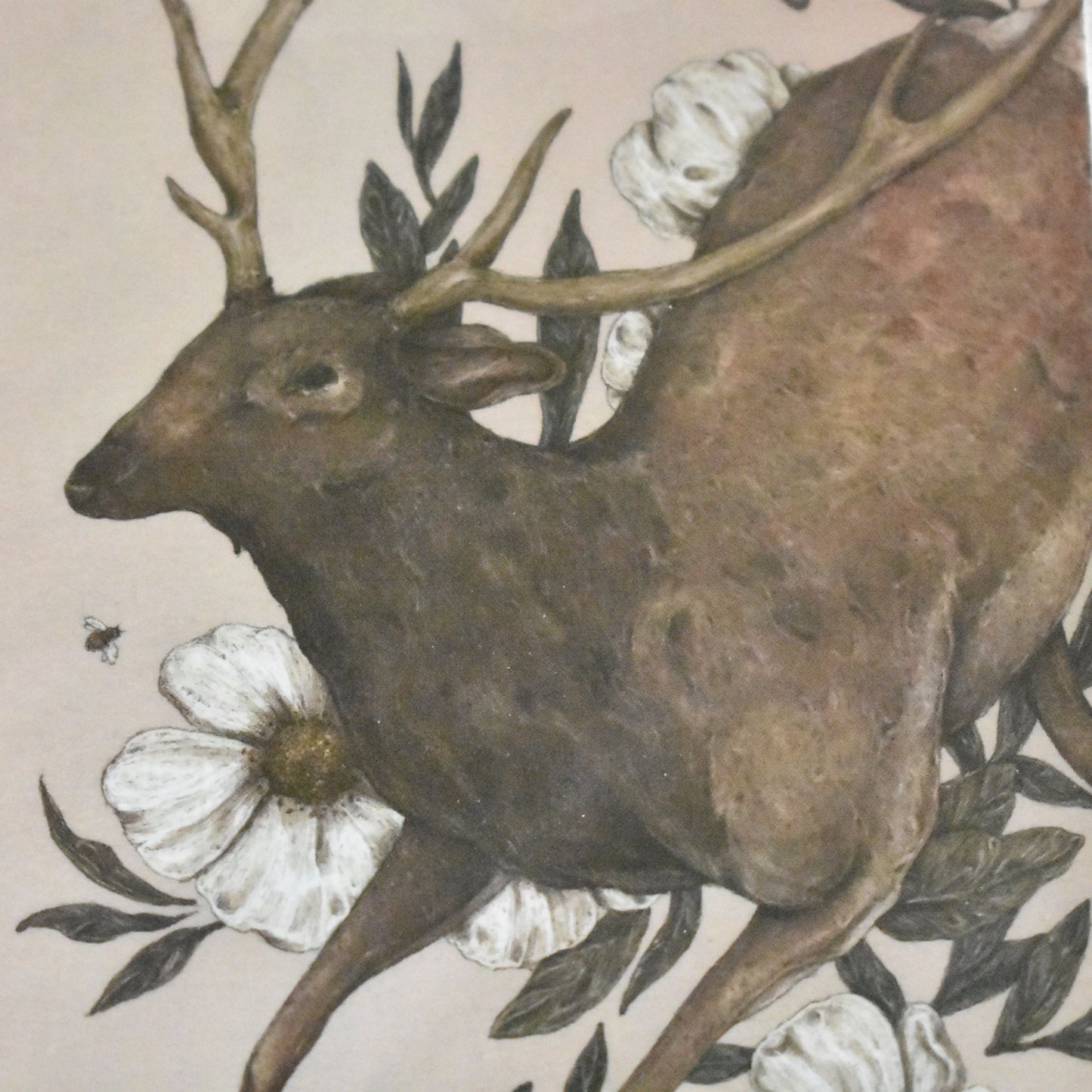 Les cartes postales Jessica Roux