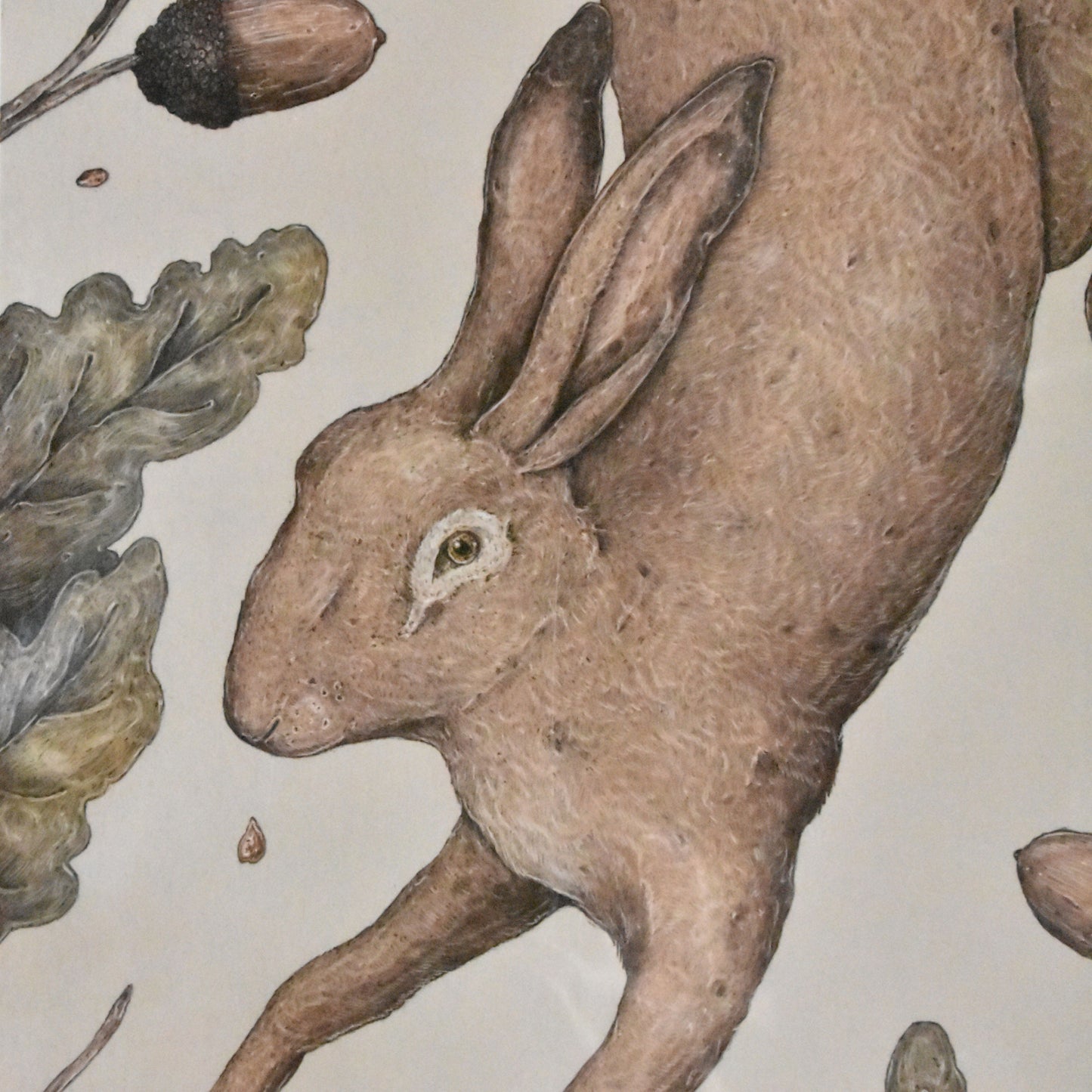 Lièvre parmi les chênes - Jessica Roux